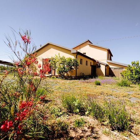 Agriturismo Bio Podere 109 - Wine&Food Алберезе Екстериор снимка