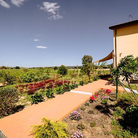 Agriturismo Bio Podere 109 - Wine&Food Алберезе Екстериор снимка