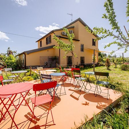 Agriturismo Bio Podere 109 - Wine&Food Алберезе Екстериор снимка