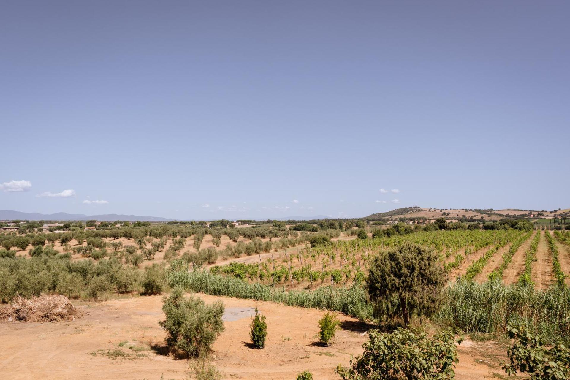 Agriturismo Bio Podere 109 - Wine&Food Алберезе Екстериор снимка