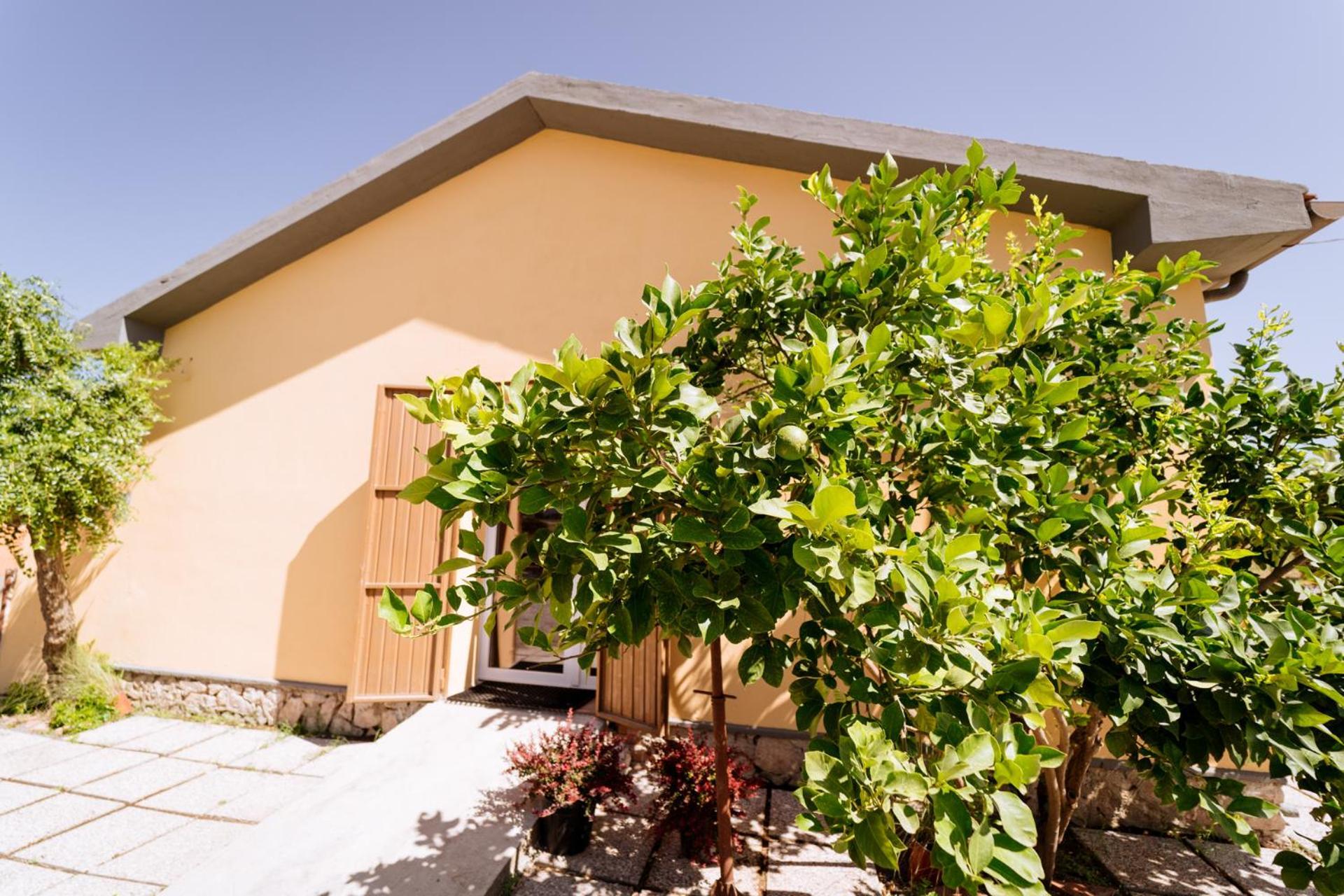 Agriturismo Bio Podere 109 - Wine&Food Алберезе Екстериор снимка