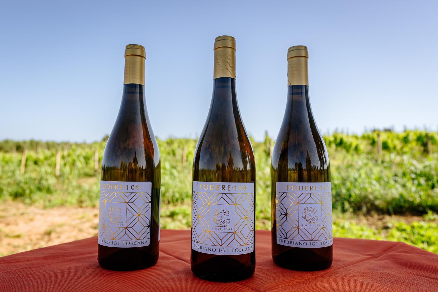 Agriturismo Bio Podere 109 - Wine&Food Алберезе Екстериор снимка