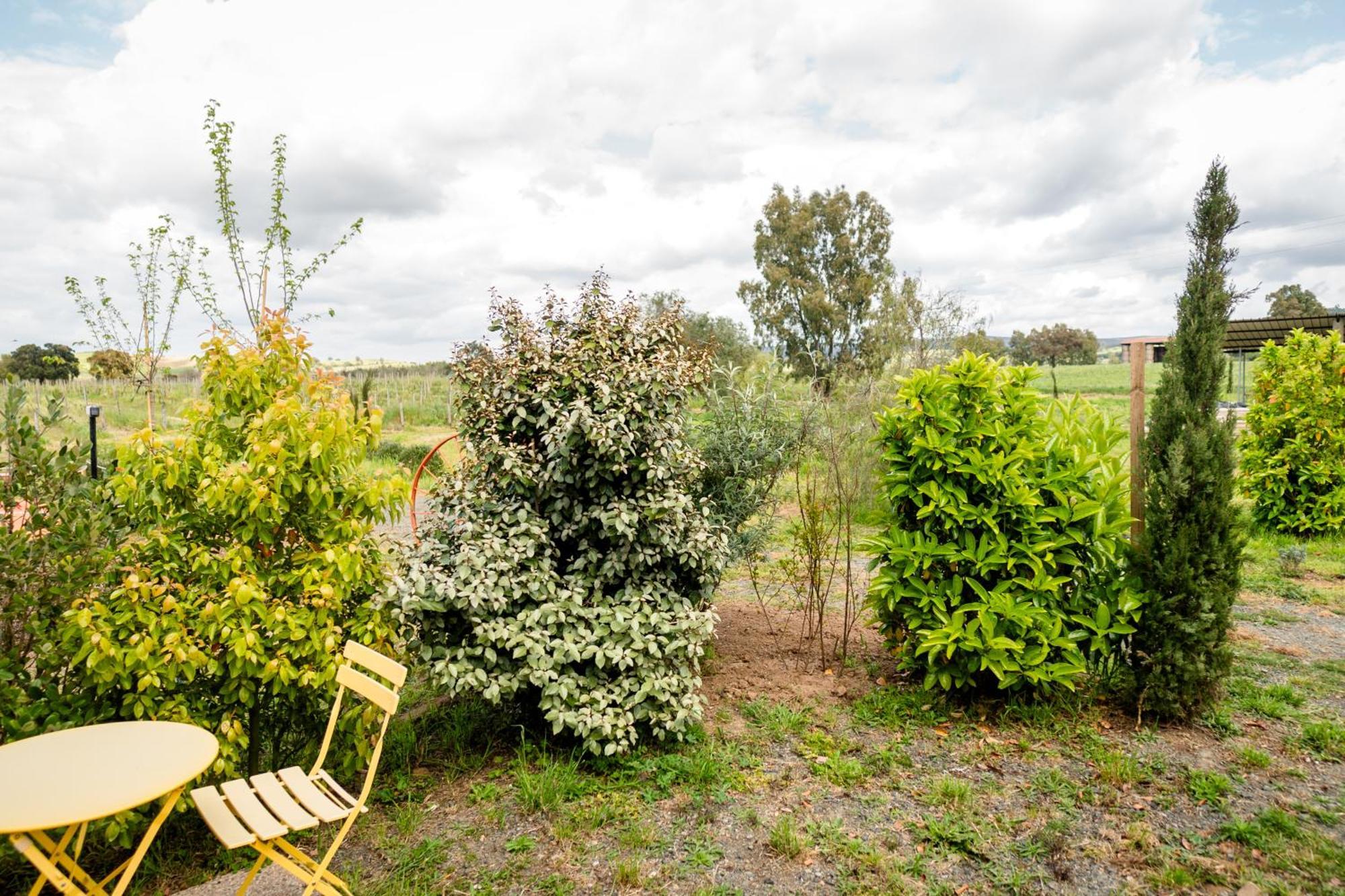 Agriturismo Bio Podere 109 - Wine&Food Алберезе Екстериор снимка
