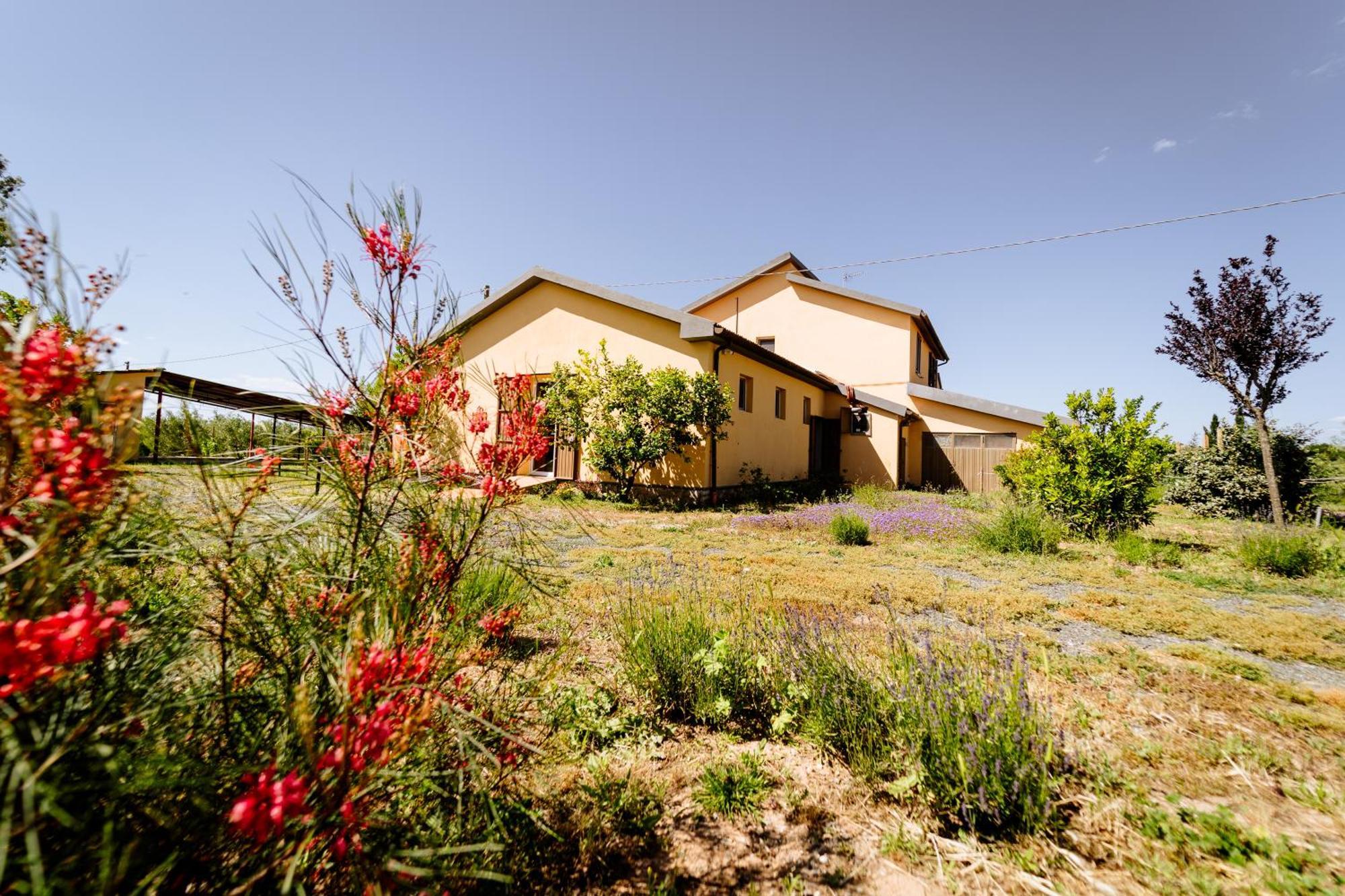 Agriturismo Bio Podere 109 - Wine&Food Алберезе Екстериор снимка